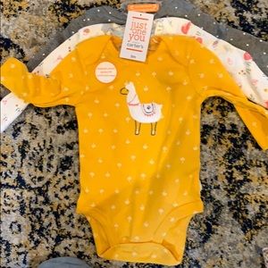 Carter 3 months onesies